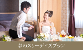 夢のスリーデイズプラン